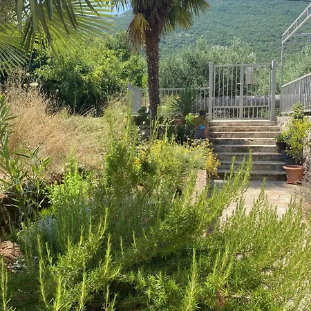 Happy Day Apartment Osobjava