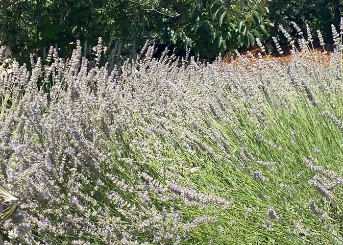 Apartamento Happy Day