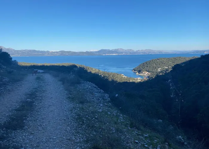 Happy Day * Osobjava